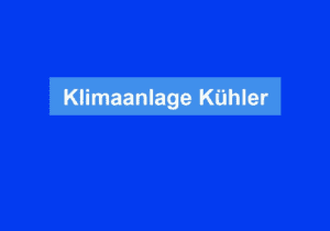 Read more about the article Klimaanlage Kühler