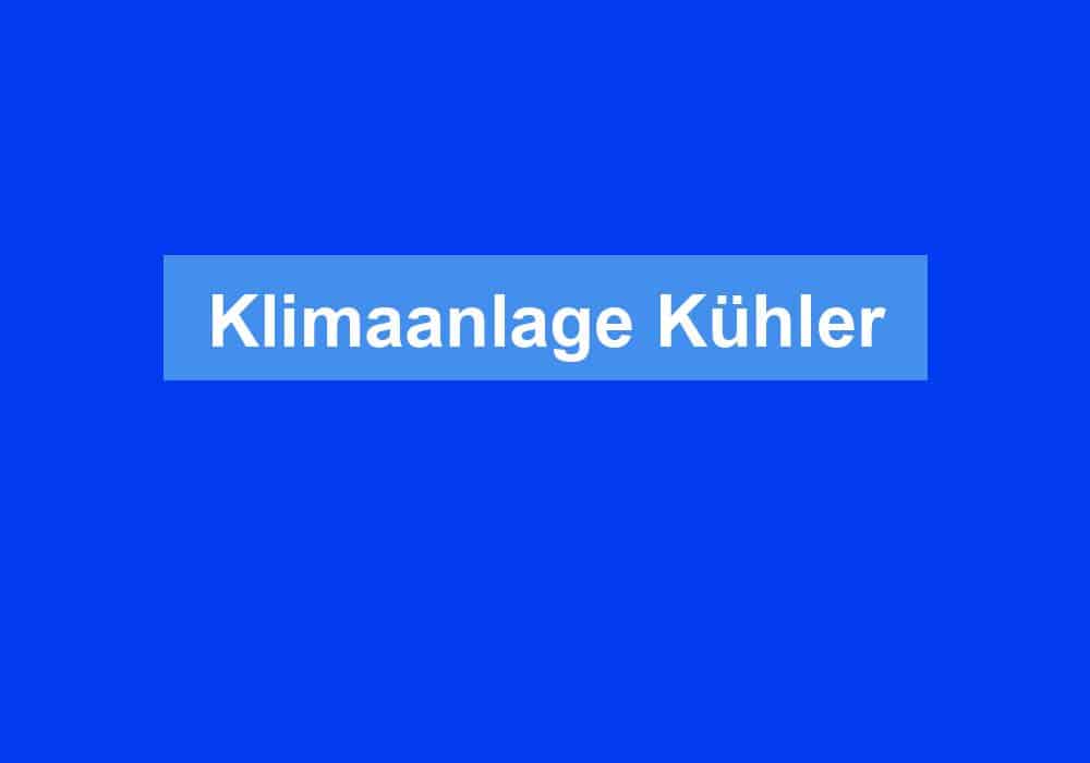 Read more about the article Klimaanlage Kühler