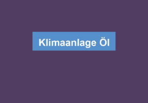 Read more about the article Klimaanlage Öl